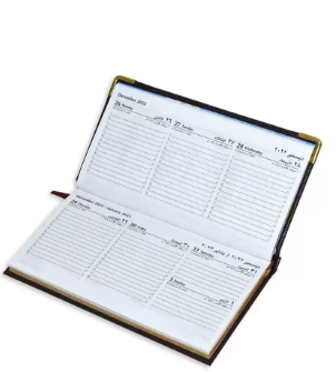 FIS 2023 Golden Slim Arabic English Diary Vinyl, 1 Side Padded Chocolate -FSDI52AEG23CH