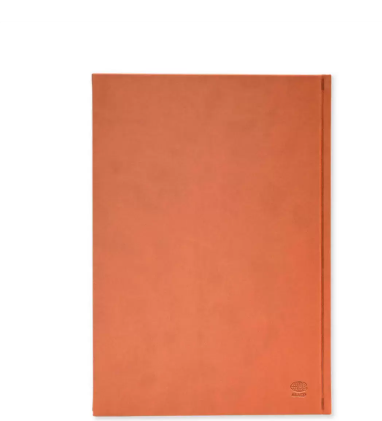 FIS A4 Diary 2024 Arabic/English (Saturday & Sunday Combined) Brown - FSDI48AEP24BR