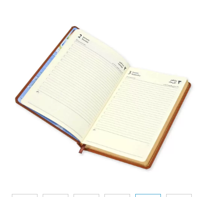 FIS Golden A5 Diary 2024 (Arabic/English) Brown - FSDI19AEG24BR