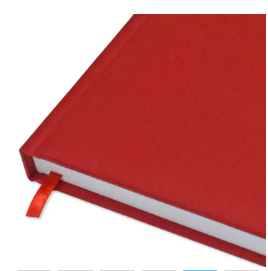 FIS A4 Diary 2024 English (Golden Corners) Red - FSDI42E24RE