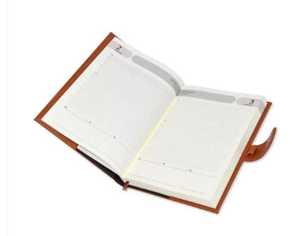 FIS Agenda Diary 2023 (English) Brown - FSDI61023EBR