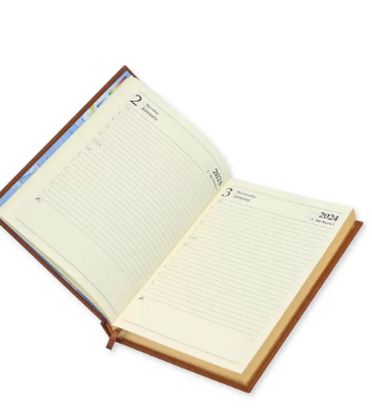 FIS Golden A5 Diary 2024 (English) Brown - FSDI26EG24BR