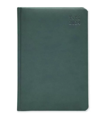 FIS Golden A5 Diary 2024 (Arabic/English) Green - FSDI19AEG24GR