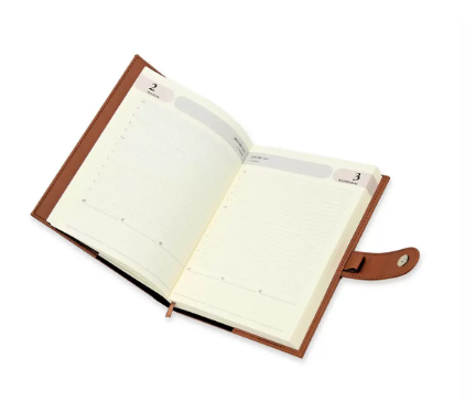 FIS Agenda Diary 2024 (English) Brown - FSDI75EVN24BR