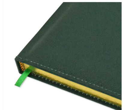 FIS A4 Golden Diary 2024 (English) Green - FSDI44EG24GR