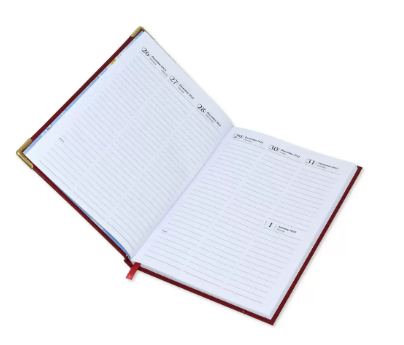 FIS A5 Diary 2023 English (1-Week at a glance) Black - FSDI78EN23BK