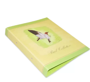 Pack of 48 Birds Printed A4 2-O Ring Binder Yellow/Green/Brown