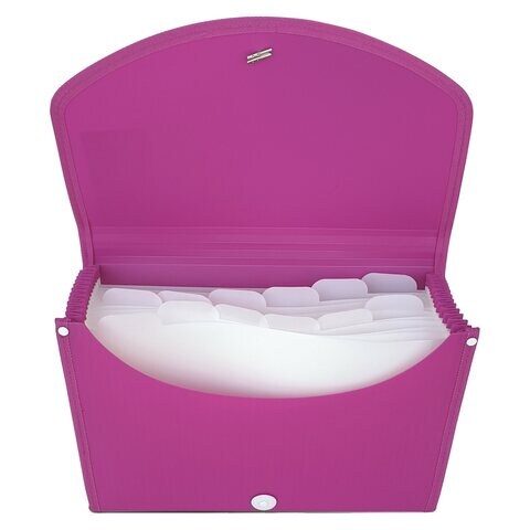 Maxi Expanding File With String A4 Size 13 Tab Pink