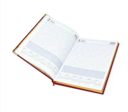 FIS A4 Golden Diary 2023 (English) Red - FSDI44EG23RE