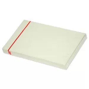 FISSticky Note Pad, 3X5 inches, Pack of 12, Pastel Green 100 Sheets -FSPO35LGR