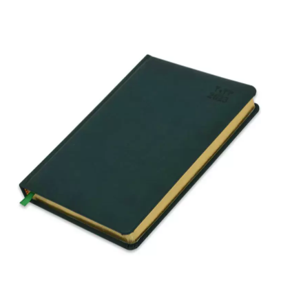 FIS Golden A5 Diary 2023 (Arabic/English) Green - FSDI19AEG23GR