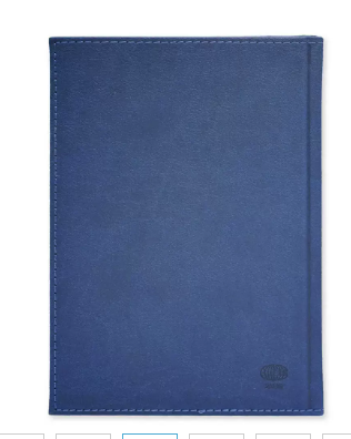 FIS Golden A5 Diary 2024 (English) Blue - FSDI26EG24BL