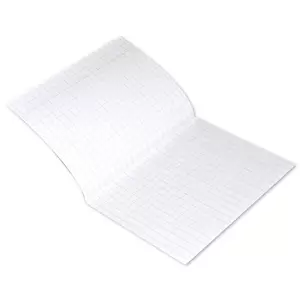 FIS Exercise Book, Pack of 24, Size:16 X 21 cm, 40 Pages, 5 mm Square - FSEBSQ05040N