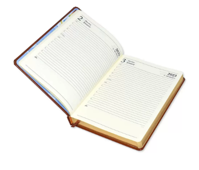 FIS A5 Diary 2023 English Golden Bonded Leather, Brown - FSDI26EGB23BR