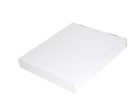 25-Piece Durable Duraplus Clear View File, A4 Size, Yellow Colour - DUPG2579-04