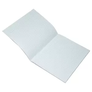 FIS Exercise Books 5 mm Square with Left Margin, 60 Pages, Pack of 12 Pieces, 16.5 x 21 cm Size - FSEBSQ05060N