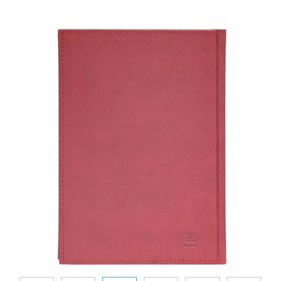 FIS Golden A5 Diary 2024 (Arabic/English) Maroon - FSDI26AEG24MR