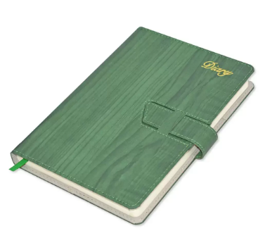 Fis 2023 A5 Diary English Vinyl Hard Sewn Cover Green -FSDI80E23GR