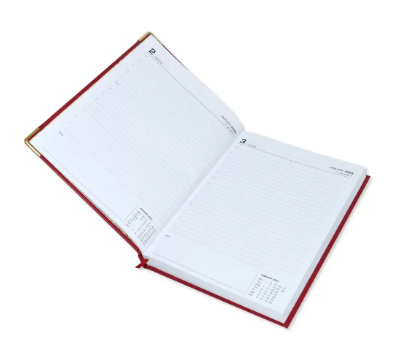 FIS Executive Daily Diary 2023 (English) Red - FSDI88E23RE