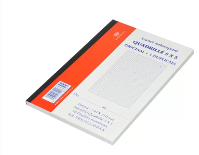 10-Piece FIS French Duplicate Books, NCR Paper (50 Sets) 5mm Square, Original with 1 Duplicate, A5 Size - FSDUA55MMNCR