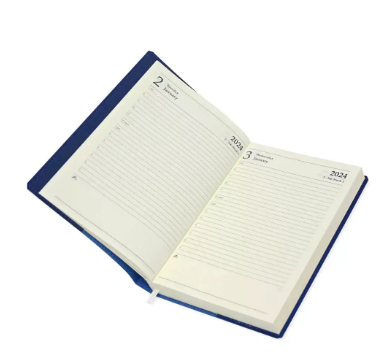 FIS A5 Diary 2024 (English) Blue - FSDI17E24BL