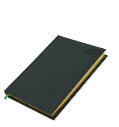 FIS Golden A5 Diary 2023 (Arabic/English) Green - FSDI26AEG23GR