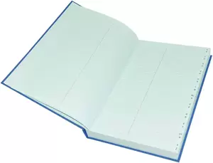 FIS Ledger Book, Azure Laid Ledger Paper, FS (210 x 330 mm) Size, 4 Quire - FSACLTC4Q82