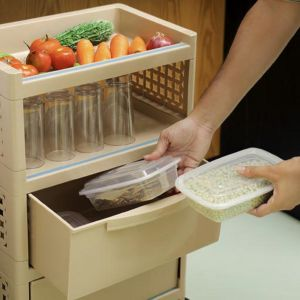 Royalford Three Layer Storage Cabin - Plastic - Brownv