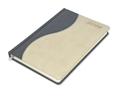 FIS 2023 Classico A5 Diary English - FSDI402E23