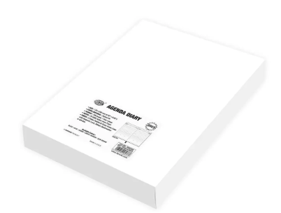 FIS Agenda Diary 2023 (English) Brown - FSDI61023EBR