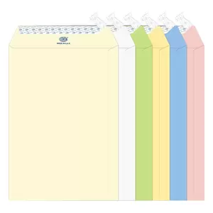 FIS Laid Paper Envelopes Peel & Seal, Pack of 60 Pcs. 6 Assorted Colors Color, 10 x 7 Inch, 100 GSM - FSEE1033PB660
