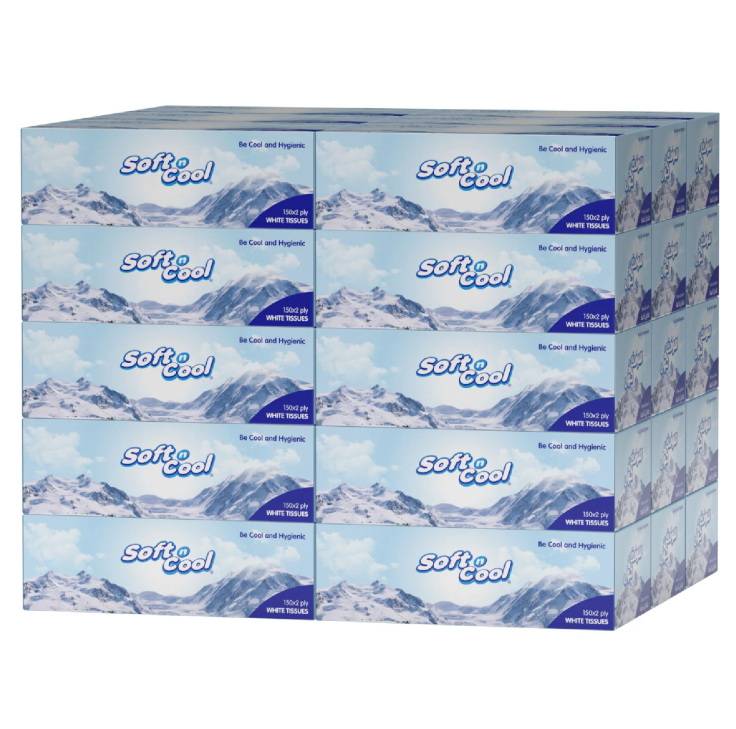 30 boxes Soft n Cool Facial Tissue 150 Sheets x 2 ply