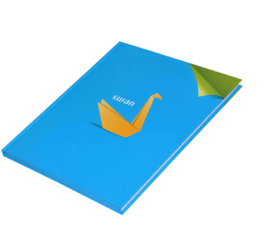 LIGHT Pack of 5 Design Hard Cover Note Book 100 Sheets. Size 10X8 Inches (25.4 X 20.32 cm) - LINB1081001304