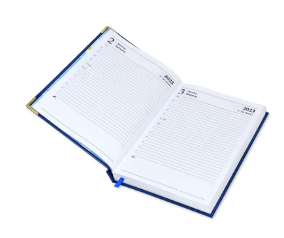 Fis 2023 A5 Diary,Gold Corners,English Vinyl 1Side Padded Blue -FSDI22E23BL