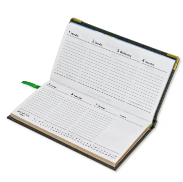 Fis 2024 Golden Slim English Diary Vinyl, 1 Side Padded Green -FSDI52EG24GR