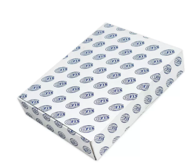 Pack of 12 Pieces A4 Card Divider Blue