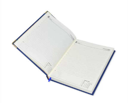 FIS Executive Diary 2023 (English) Italian PU Padded, Cover Brown - FSDI88EP23BR