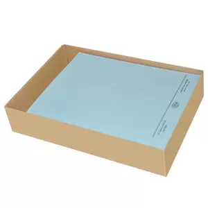 FIS Square Cut Folders Without Fastener Blue Color, Pack of 50 Pcs, 320 gsm, A4 Size - FSFF9A4BL