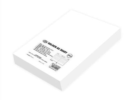 FIS Golden A5 Diary 2023 (English) Green - FSDI19EG23GR