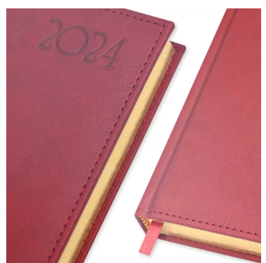 FIS Golden A5 Diary 2024 (English) Maroon - FSDI26EG24MR