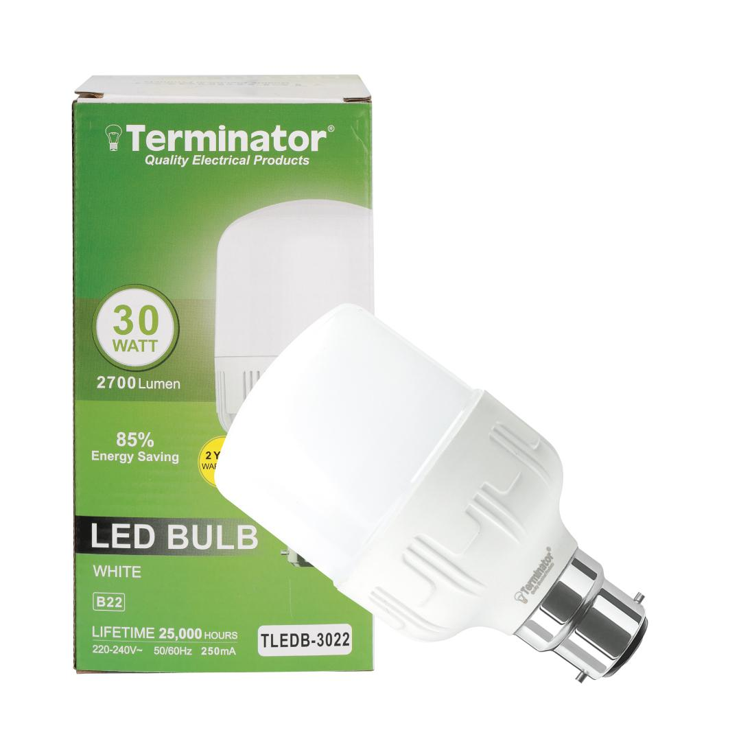 LED Bulb 30W Day Light B22