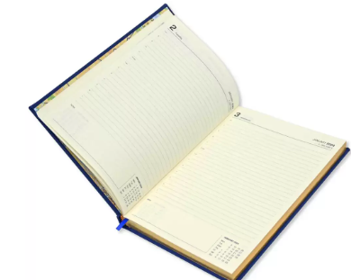 FIS Executive Diary 2024 (English) 1-Side Padded with Gilding, Blue - FSDI88EPG24BL
