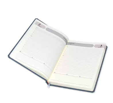 FIS Agenda Diary 2023 (English) Bonded Leather, 1-Side Padded, Grey - FSDI75EB23GY