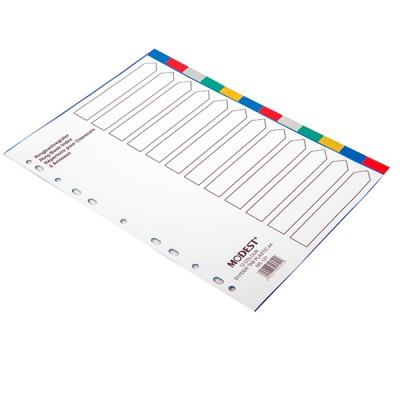 DIVIDER 12 Tab PVC