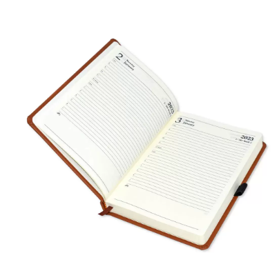 FIS Diary 2023 (English) A5, Dark Brown - FSDI84E23DBR