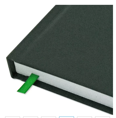 Fis 2024 A5 Diary,Vinyl, English Hard Cover Green -FSDI21E24GR