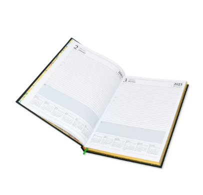 FIS Golden Diary 2023 (English) Maroon, A4 - FSDI43EG23MR