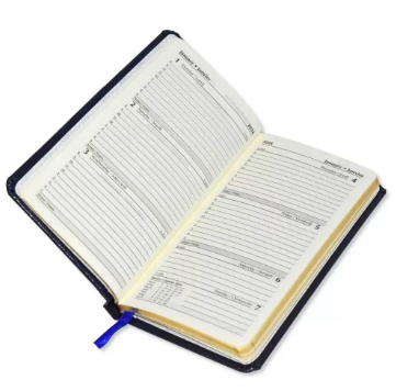 FIS 2024 Golden Slim Diary Bonded Leather (English/French) Blue - FSDI59EFGB24BL