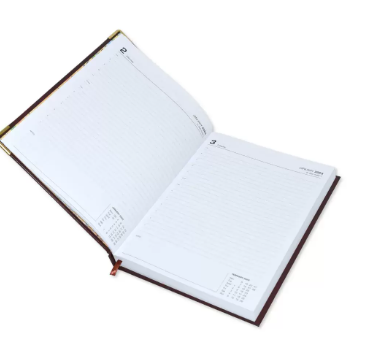 FIS Executive Daily Diary 2023 (English) Green - FSDI88E23GR