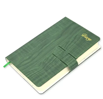 Fis 2024 A5 Diary English Vinyl Hard Sewn Cover Green -FSDI80E24GR